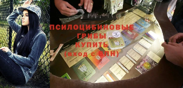 PSILOCYBIN Алексеевка