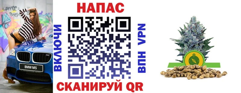 Бошки марихуана план Новосиль